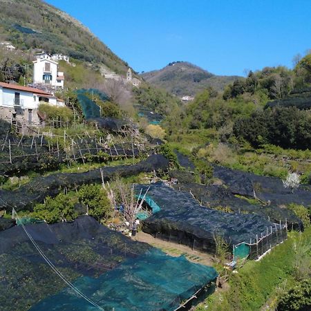 Ferienwohnung Antica Cartiera Sant'Elia Tramonti Exterior foto