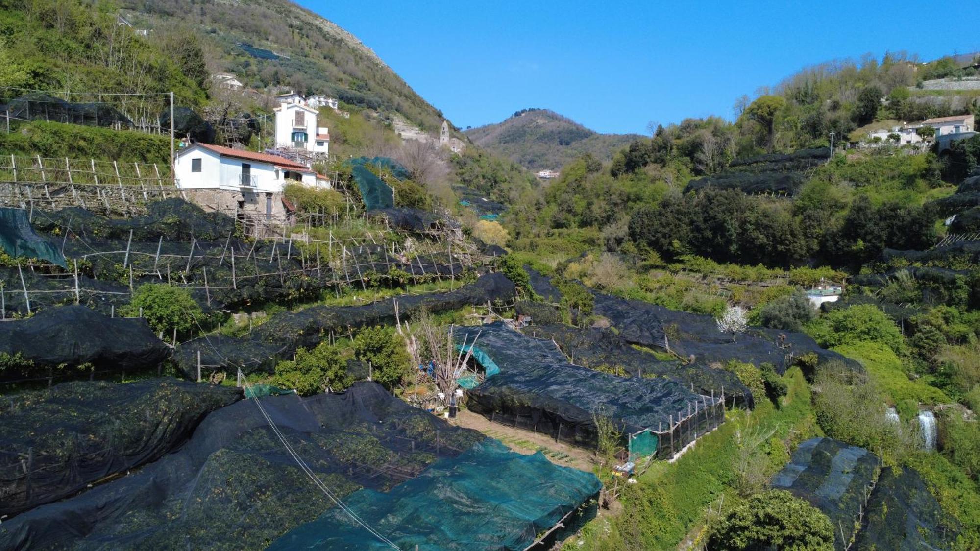 Ferienwohnung Antica Cartiera Sant'Elia Tramonti Exterior foto