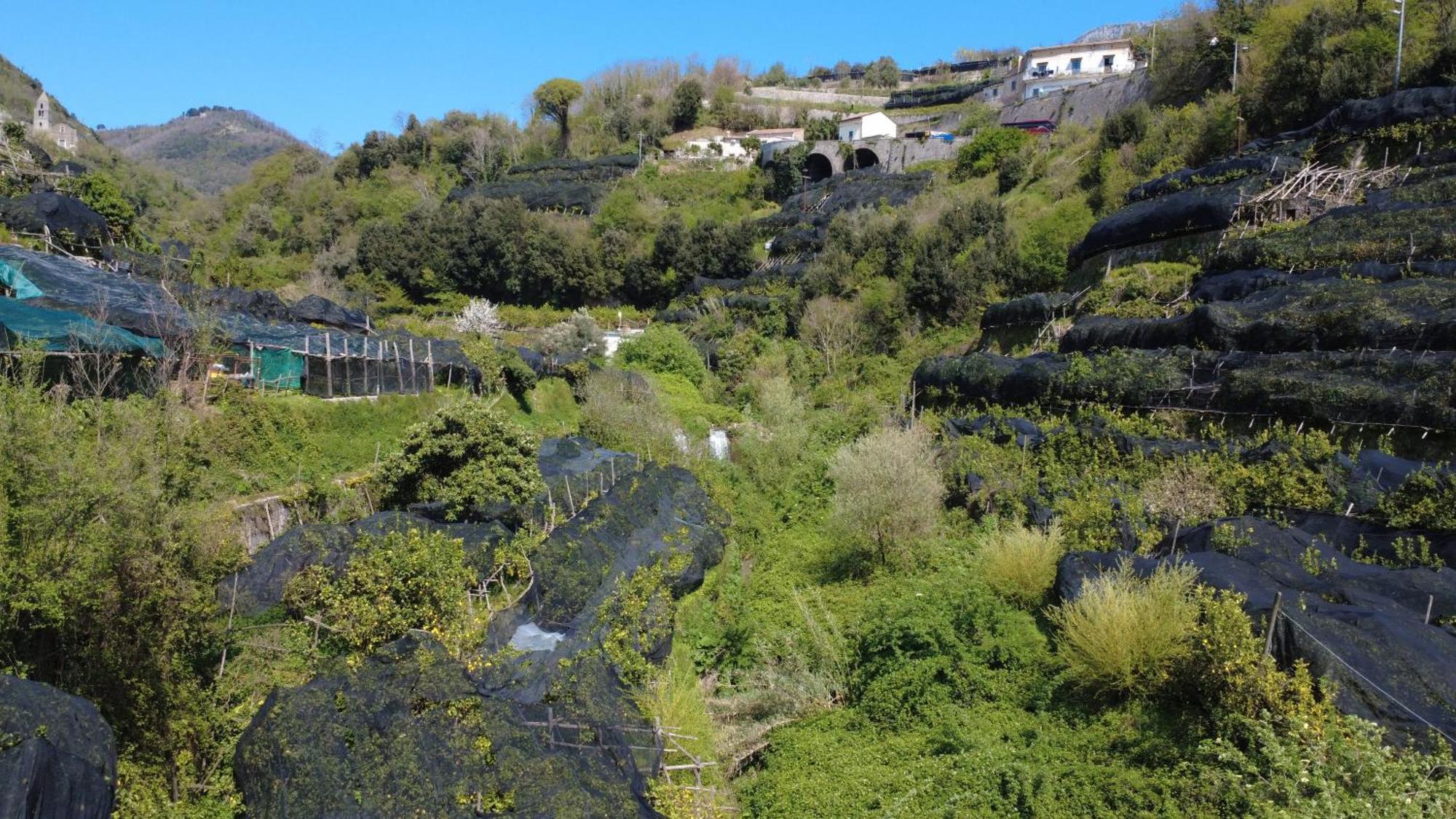 Ferienwohnung Antica Cartiera Sant'Elia Tramonti Exterior foto